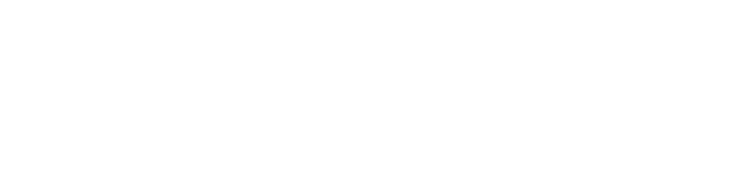 tony riley painter and decorator logo upscaled white